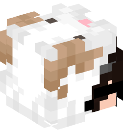 Minecraft head — People