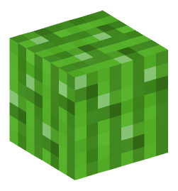 Minecraft head — Plants