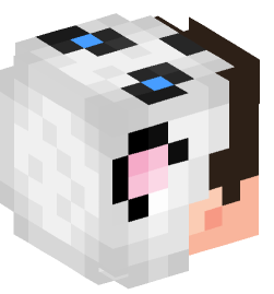 Minecraft head — People