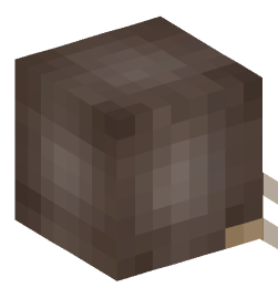 Minecraft head — Animals