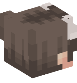 Minecraft head — People