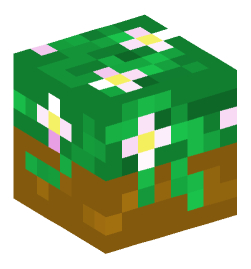 Minecraft head — Decor