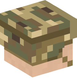 Minecraft head — People