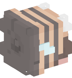 Minecraft head — People