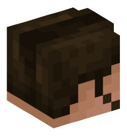 Minecraft head — People