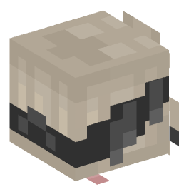 Minecraft head — People