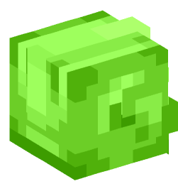 Minecraft head — People