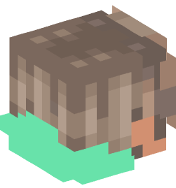 Minecraft head — People