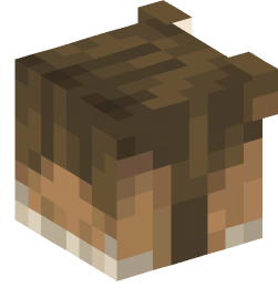 Minecraft head — Animals