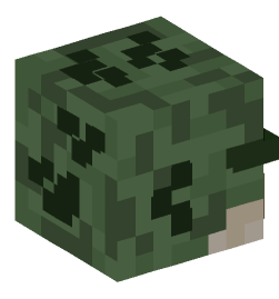 Minecraft head — Monsters