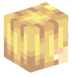 Minecraft head — People