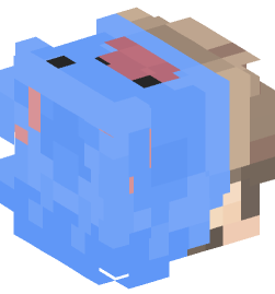 Minecraft head — People