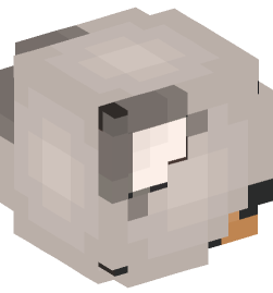 Minecraft head — People