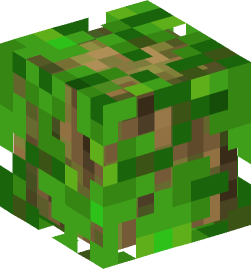 Minecraft head — Decor