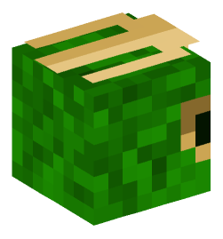 Minecraft head — People