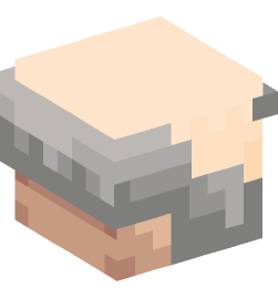 Minecraft head — People