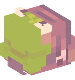 Minecraft head — People