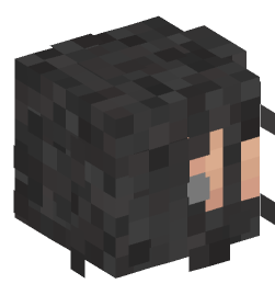 Minecraft head — People