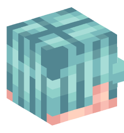 Minecraft head — People