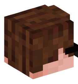 Minecraft head — People