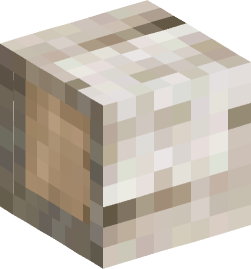 Minecraft head — Blocks