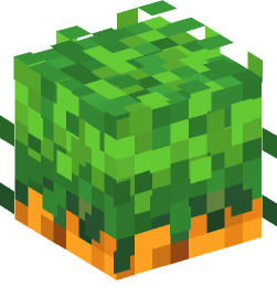 Minecraft head — Plants