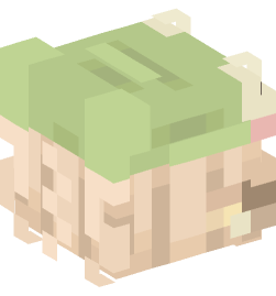 Minecraft head — People