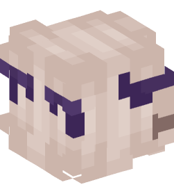 Minecraft head — People