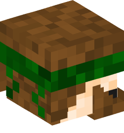 Minecraft head — People
