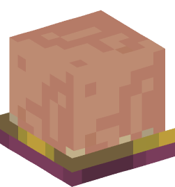 Minecraft head — Creatures