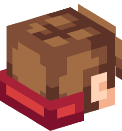 Minecraft head — People