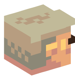 Minecraft head — People