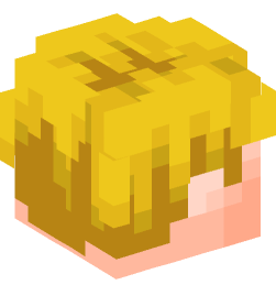 Minecraft head — People