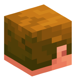 Minecraft head — Creatures