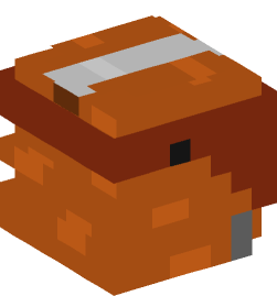 Minecraft head — People