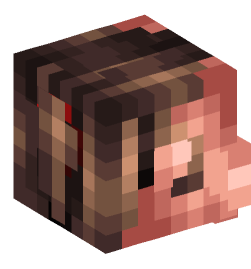 Minecraft head — People