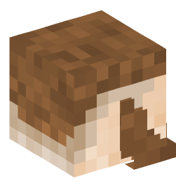 Minecraft head — People