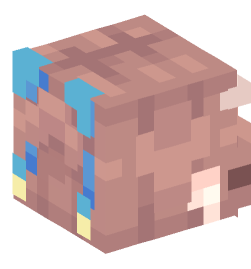 Minecraft head — People