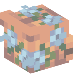 Minecraft head — People