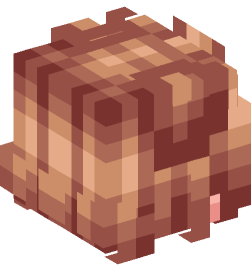 Minecraft head — People