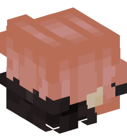 Minecraft head — People