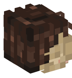 Minecraft head — People