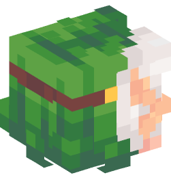 Minecraft head — People