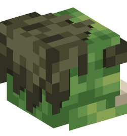 Minecraft head — Creatures