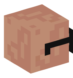 Minecraft head — Creatures