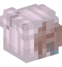 Minecraft head — Creatures