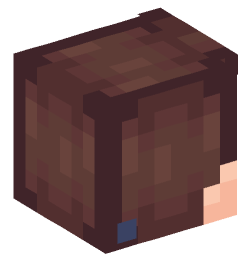 Minecraft head — People