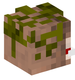 Minecraft head — People