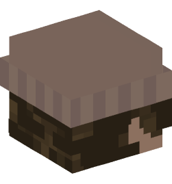 Minecraft head — People