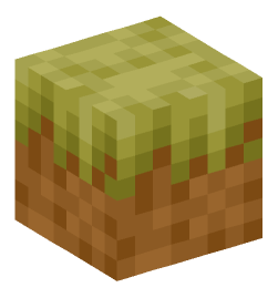 Minecraft head — Blocks